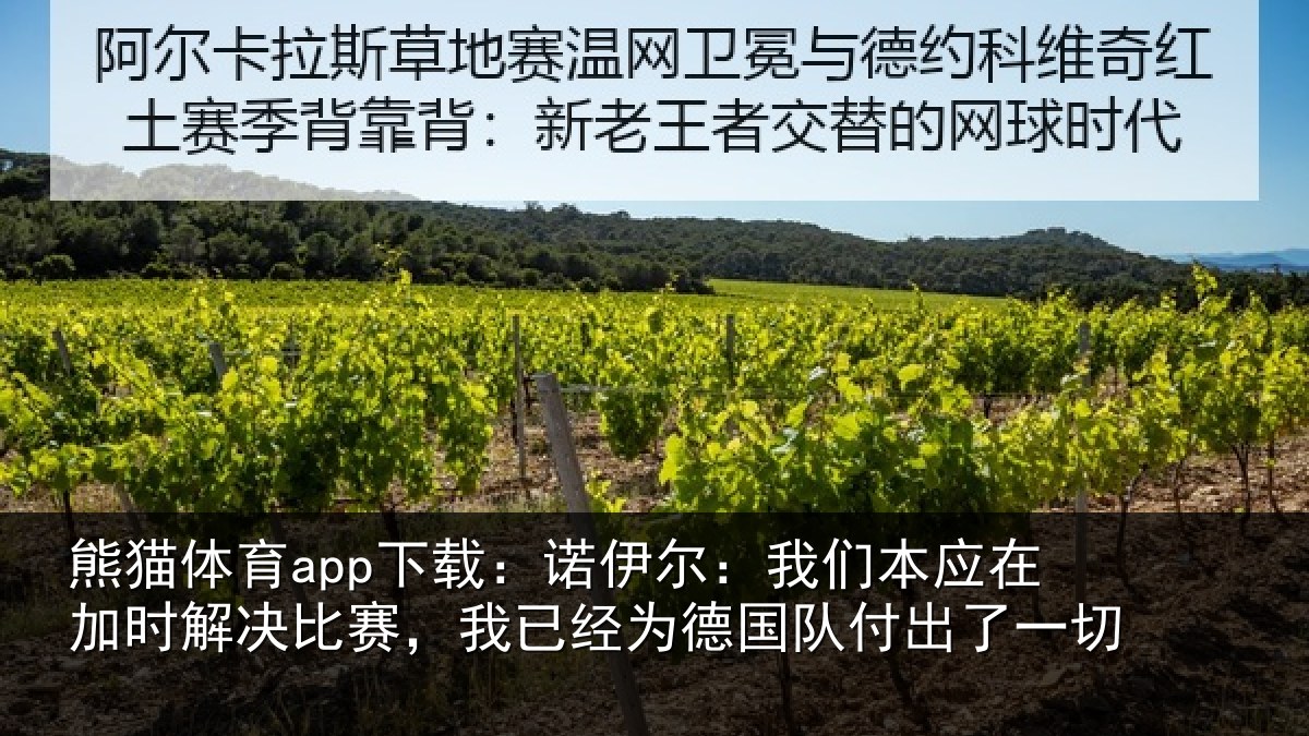 熊猫体育app下载：诺伊尔：我们本应在加时解决比赛，我已经为德国队付出了一切