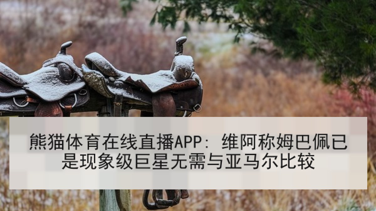 熊猫体育在线直播APP: 维阿称姆巴佩已是现象级巨星无需与亚马尔比较