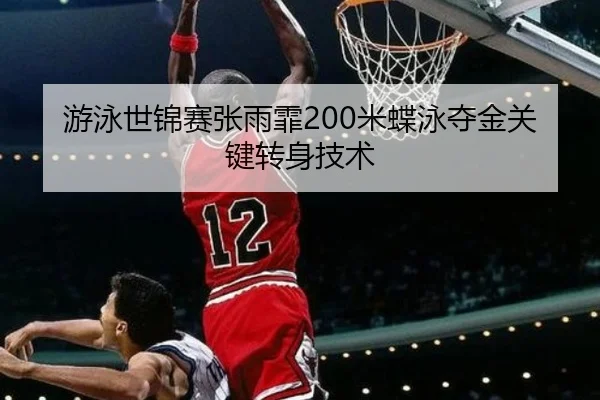you-yong-shi-jin-sai-zhang-yu-fei-mi-die-yong-duo-jin-guan-jian-zhuan-shen-ji-shu-3-399.jpg
