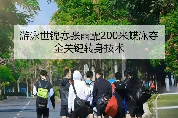 游泳世锦赛张雨霏200米蝶泳夺金关键转身技术