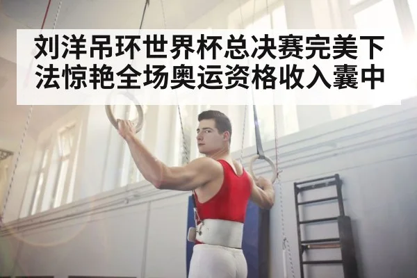 刘洋吊环世界杯总决赛完美下法惊艳全场奥运资格收入囊中
