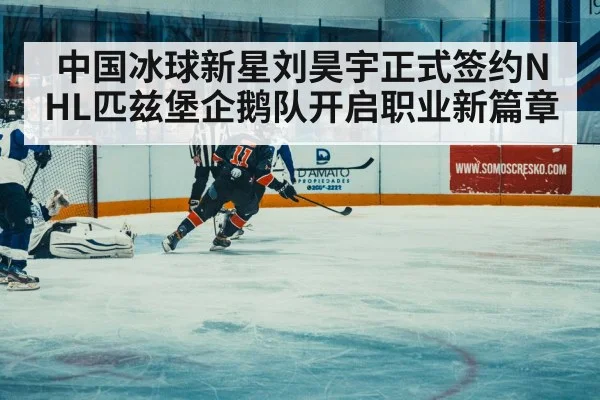 ice hockey match action