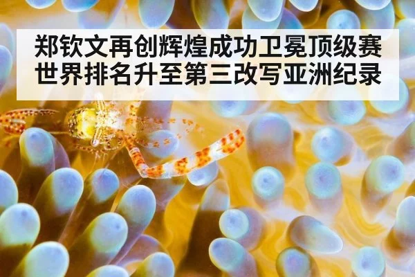郑钦文再创辉煌成功卫冕顶级赛 世界排名升至第三改写亚洲纪录